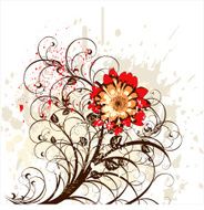 flowers ornament on white grunge background (chrysanthemum)