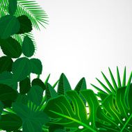 Tropical leaves Floral design background N5