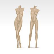 Vector Isolated Female Mannequin N5