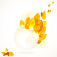 Vector card with stylish composition of autumn leaves N3