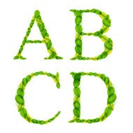 alphabet letters made from spring green leaves Vector illustration N5
