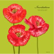 Bouquet of red poppies for your design N2