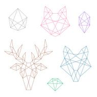 polygonal animals