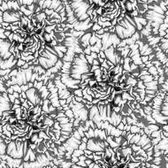 Beautiful monochrome black and white seamless background with carnation N2