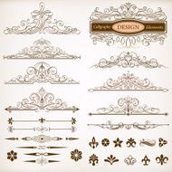 calligraphic design elements vector set N4
