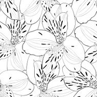 beautiful black and white seamless pattern in alstroemeria with contours