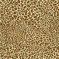 leopard pattern N25
