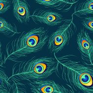 Seamless pattern of peacock feathers N4