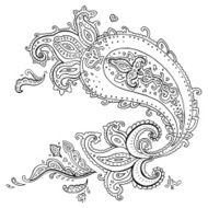 Hand Drawn Paisley ornament N19