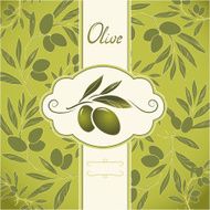 Vector olive oil Decorative branch For label pack Olive pattern