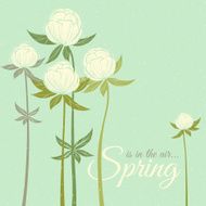 Spring wildflowers N3