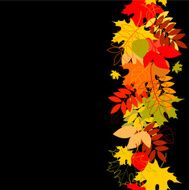 seamless leaf pattern vector background N4