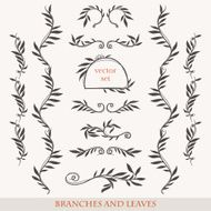 Elegant floral elements with branches and leaves N5