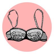 Lacy sexy vector bra N10