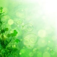 Floral background N622