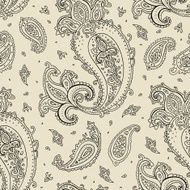 Seamless Paisley background N78