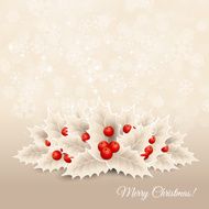 Vector christmas background with snowflakes and holly N2