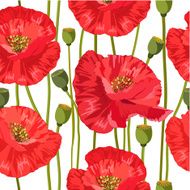 seamless texture of red poppies