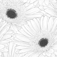 Beautiful monochrome black and white seamless background with flowers N18
