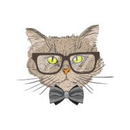 Portrait of hipster cat