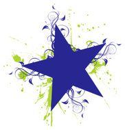 Star N13