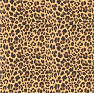 Leopard seamless pattern design vector illustration N2