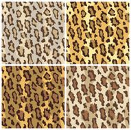 Leopard Spots Pattern-Tame