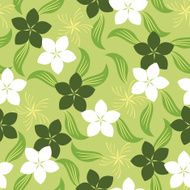 Floral Pattern N591