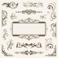 Calligraphic elements vintage vector