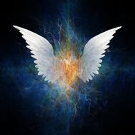 Wings N5
