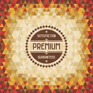 Geometric Vintage Background 04