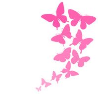 background with a border of butterflies flying N8