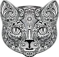 Cat black and white