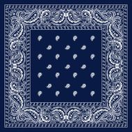Blue paisley bandana N2