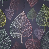 Autumn transparent leaves pattern background N5