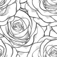 beautiful black and white seamless pattern in roses with contours N5