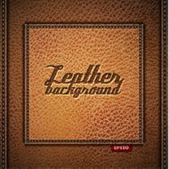 Leather background N19