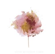 watercolor flower N9