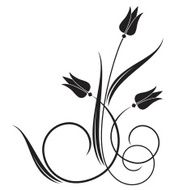 Tulip N6