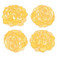 set of beautiful flower isolated on white background N2