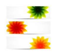 Vector nature banners