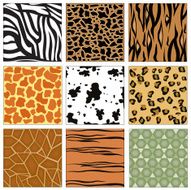 Animal Print N9