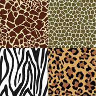 Animal Skin Patterns N3