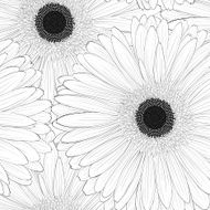 Beautiful monochrome black and white seamless background with gerbera flower