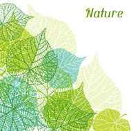 Background of stylized green leaves N10
