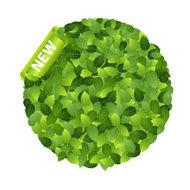 Green eco friendly label from leaves Vector illustration