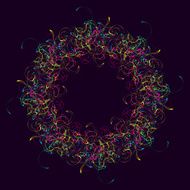 abstract flower ring background
