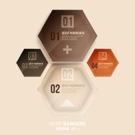Abstract Infograph Design N5