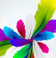 Vector Feather background N4