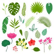 Set of stylized tropical plants leaves and flowers